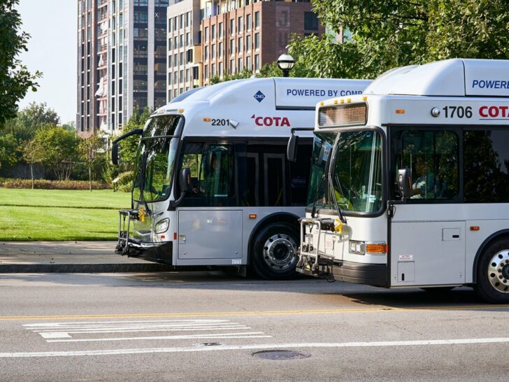 White COTA Buses parked