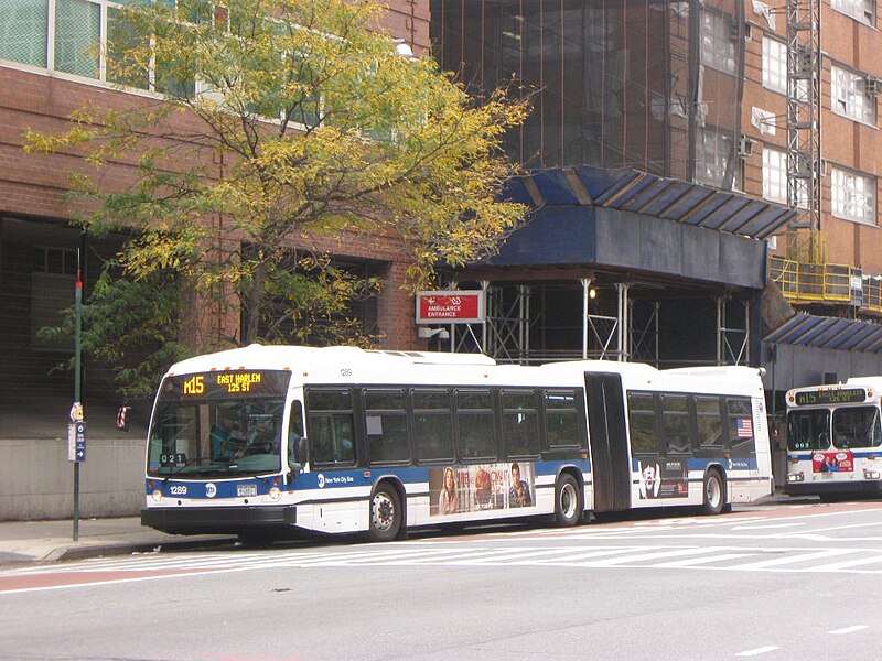 MT15 NYC bus