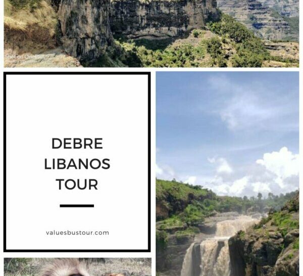A perfect Day trip Debre Libanos and Portuguese bridge