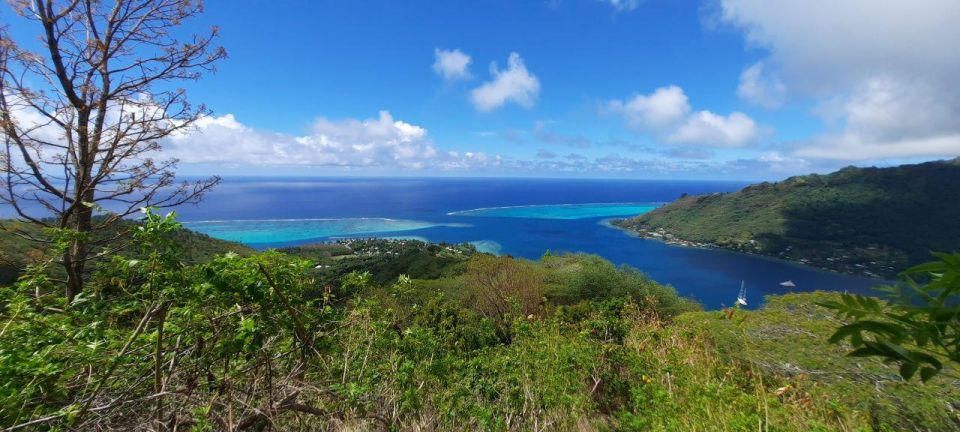 Beautiful views at Moorea Safari