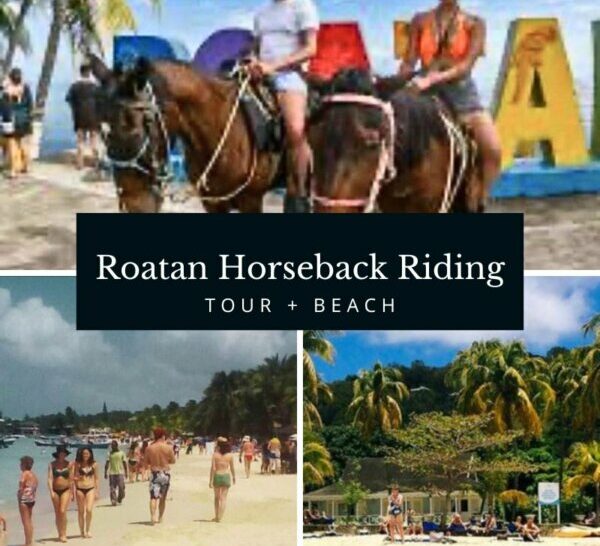Roatan Horseback Riding Tour + Beach