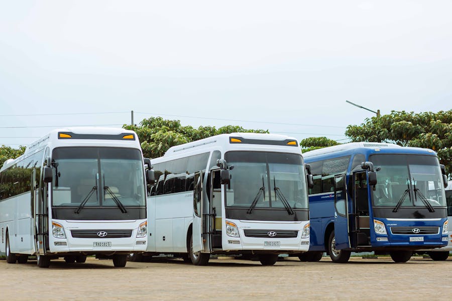 Full-Size Charter Buses and Coach Buses