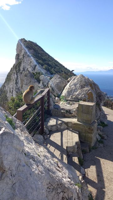 Gibraltar tours
