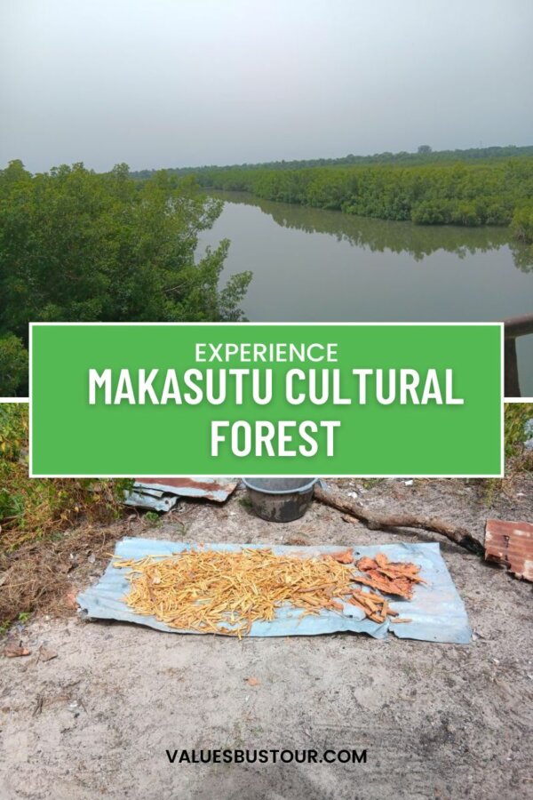 Makasutu Cultural Forest