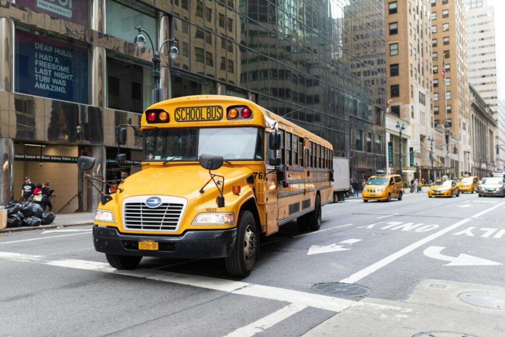 Standard Yellow School Buses