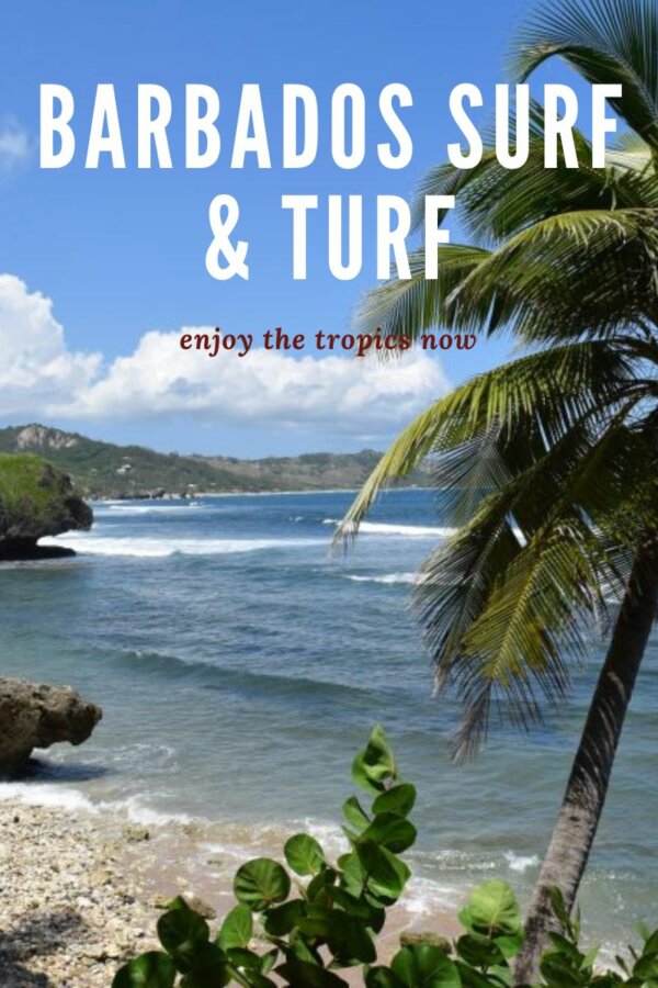 Barbados Surf & Turf