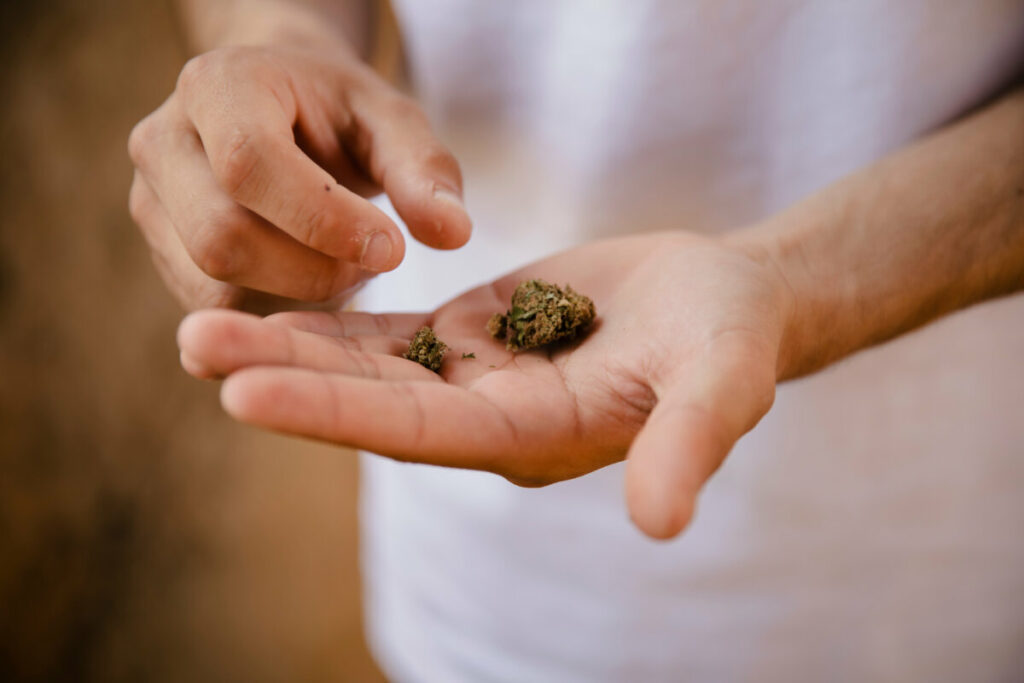 Close-up of a hand holding a a cannabis