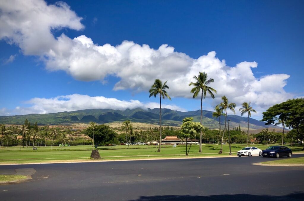 Lush tropical landscape with palm trees, mountains, and parked vehicles under a clear blue sky.