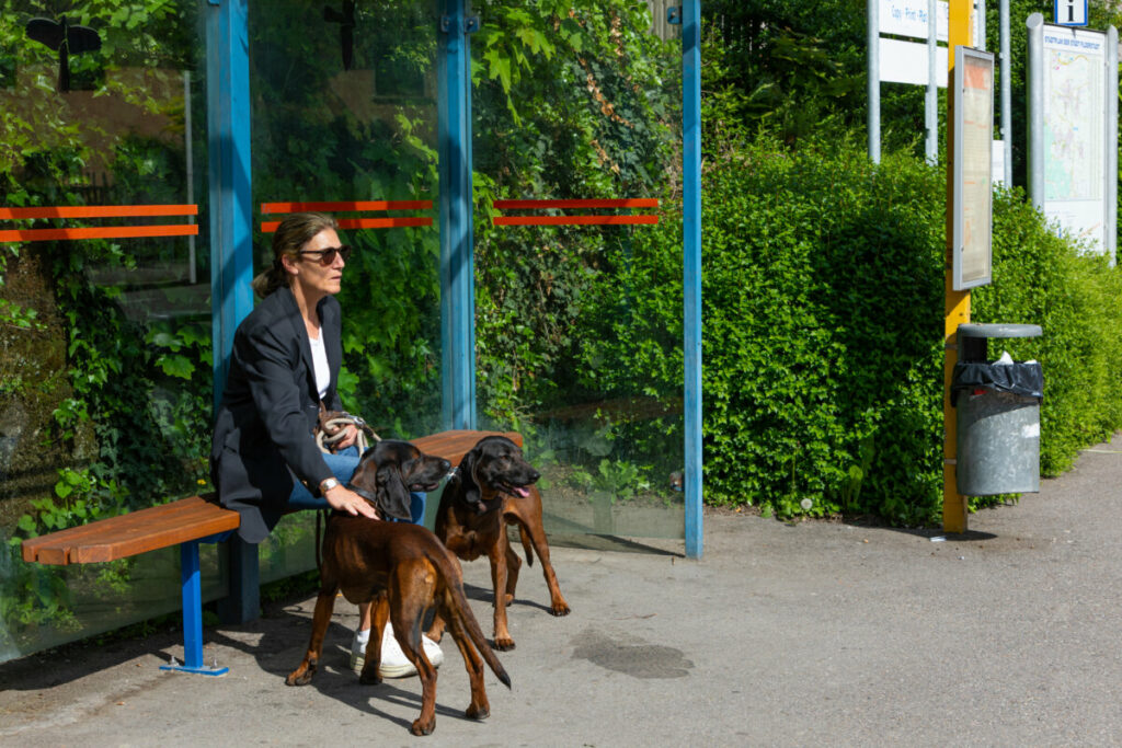 Woman with two dogs waiting on a bus stop